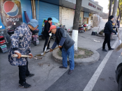 环境卫生大整治·垃圾分类共执行