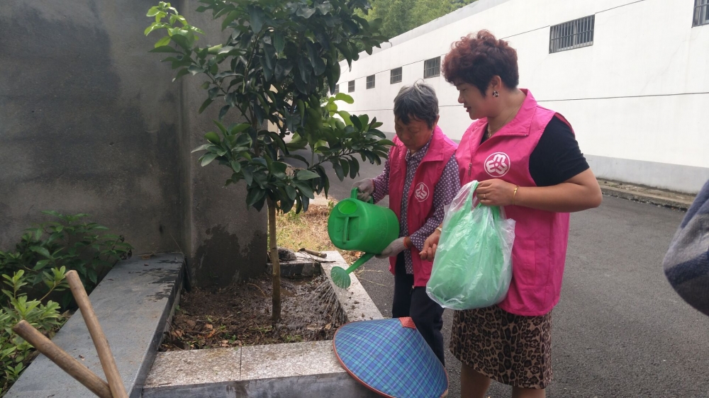 美化环境，花草种植