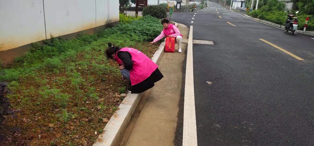 垃圾清理志愿服务