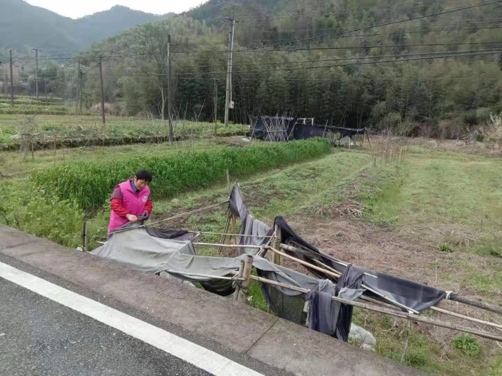 美化家园，村内环境卫生整治