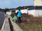 美化家园，村内环境卫生整治