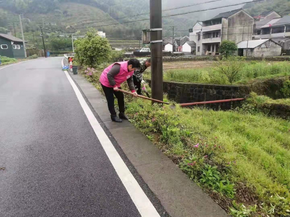 花籽播种，给村庄增添色彩