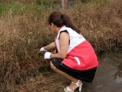 清除居内垃圾，清洁路边花坛