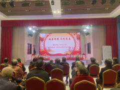 杨汛社区文艺演出志愿活动