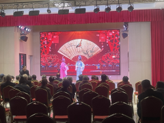 杨汛社区文艺演出志愿活动