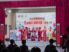 杨汛社区文艺演出志愿活动