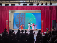 杨汛社区文艺演出志愿活动