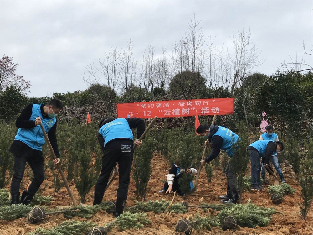 植树节，相约漓渚