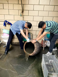 杨汛桥街道孙家桥社区翻缸倒罐志愿者活动