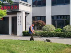 杨汛桥街道孙家桥社区除草志愿者活动