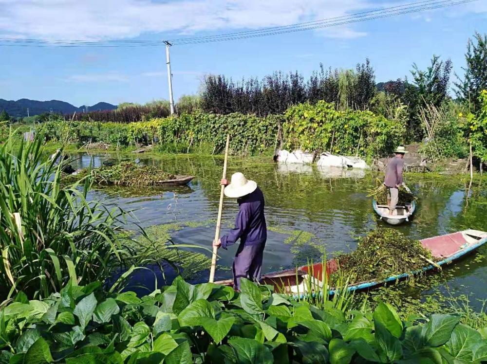 五水共治，共建良好的生态水环境