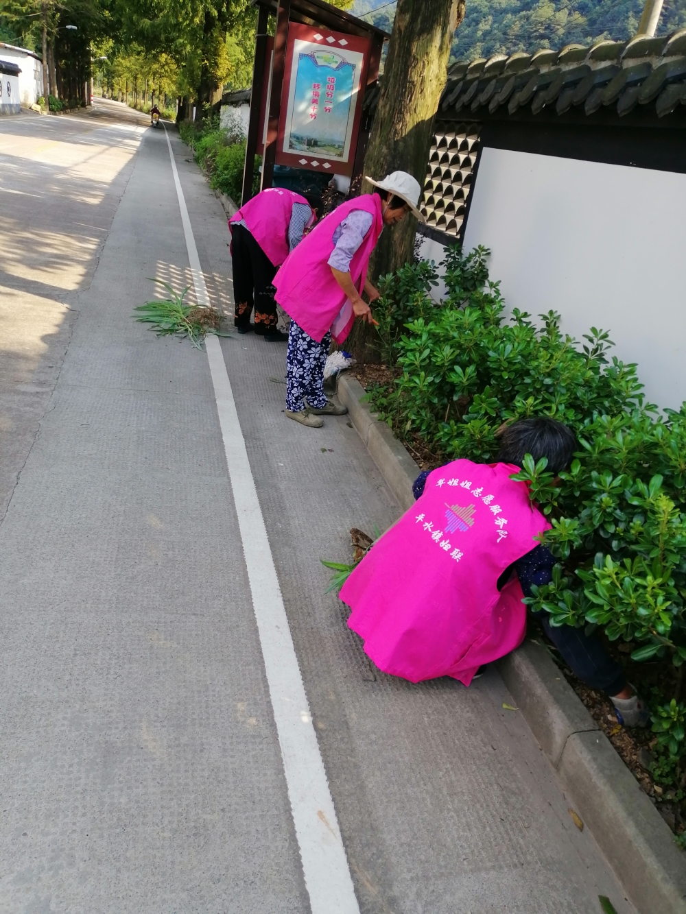 为美丽乡村助力，绿化带除草