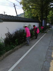 为美丽乡村助力，绿化带除草