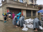 抗台抢险志愿活动