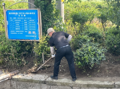 仁里王村夏季除草志愿服务活动