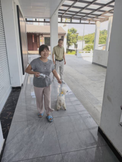 仁里王村犬只打疫苗志愿服务活动
