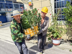 杨汛桥街道竹园童村环境卫生整治志愿服务活动