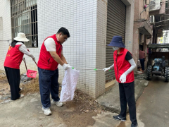 杨汛桥街道竹园童村环境卫生整治志愿服务活动