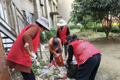 杨汛桥街道竹园童村环境整治志愿服务活动