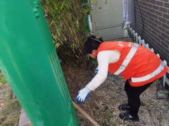 杨汛桥街道竹园童村环境整治志愿服务活动