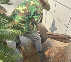 杨汛桥街道竹园童村翻缸倒盆志愿服务活动