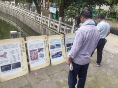方家桥社区开展风情万粽-邂逅不一样的端午节巡展志愿活动