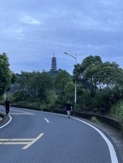 “笔墨给自然，守护西天竺”户外环保活动