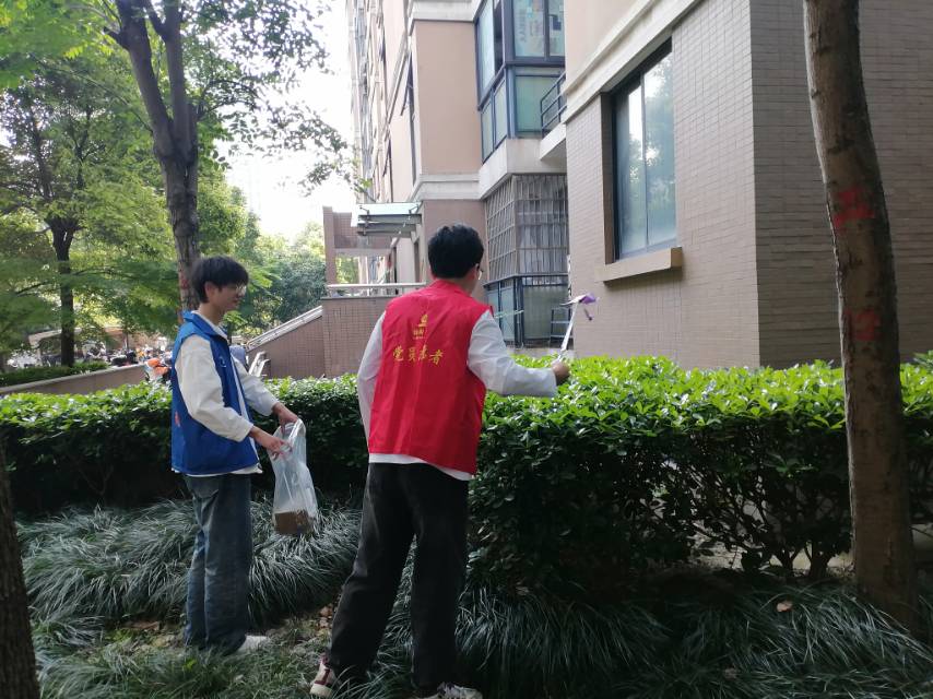 清理小区绿化带白色垃圾