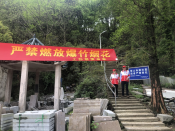 文明祭祖，森林防火活动