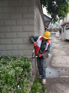 世界地球日，绿化环境志愿活动