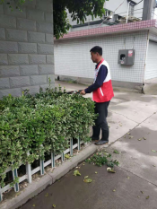 世界地球日，绿化环境志愿活动
