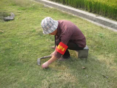 清理垃圾在行动