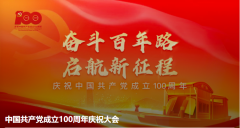 观看中国共产党成立100周年庆祝大会