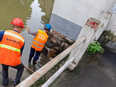 联社村河道清理活动