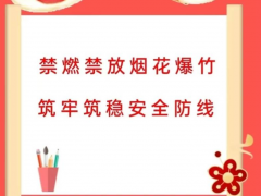 杨汛桥街道联社村“禁燃禁放”平安守护志愿活动