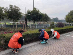 保护家乡环境