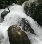 向山顶送餐的马拉松运动员（奔跑的午餐）