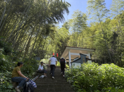 向山顶送餐的马拉松运动员（奔跑的午餐）8.13