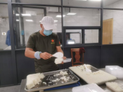 向山顶送餐的马拉松运动员（奔跑的午餐）9.9