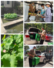 奔跑的午餐2026.7.28