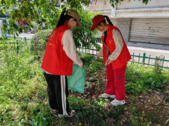 黄社溇社区小区大扫除志愿服务活动