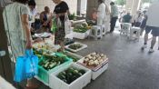 大渡社区开展邻里共富集市