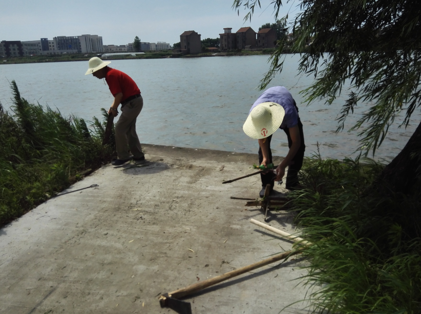 三江大河沿岸开展环境保护活动