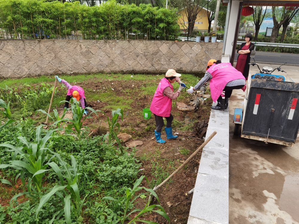 清除建筑等垃圾