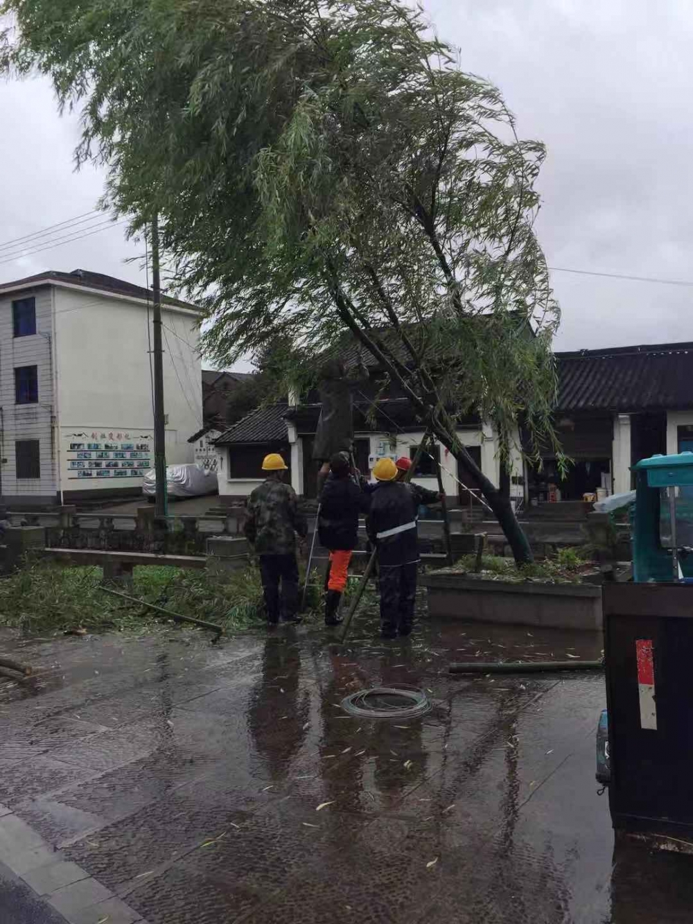 台风过后环境大整治