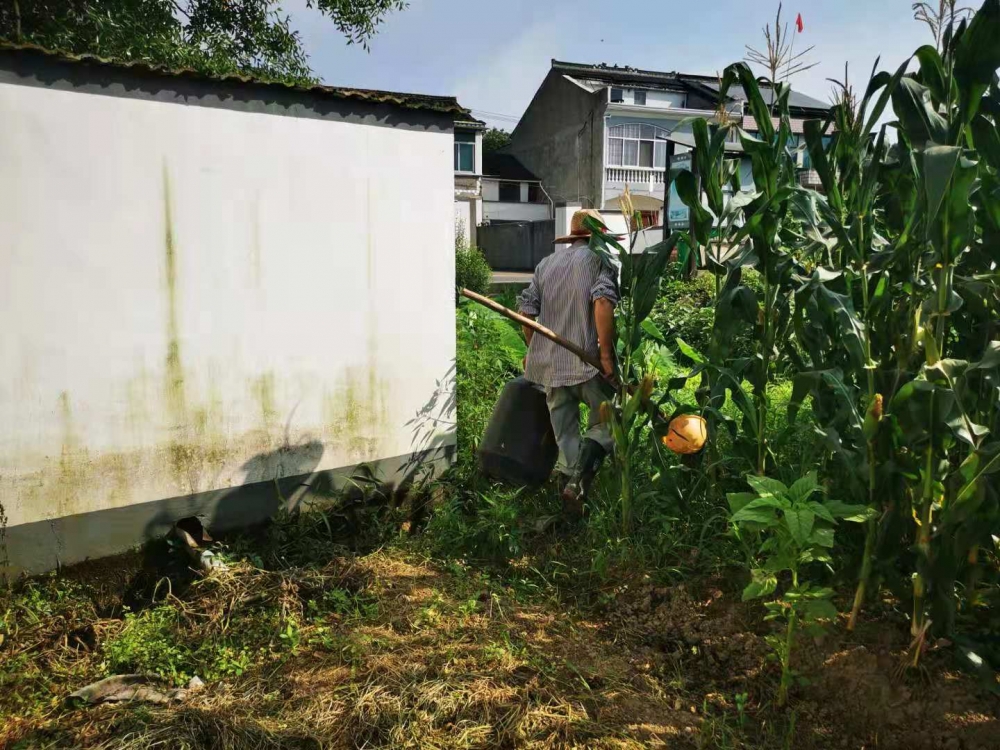 田间地头料桶整治