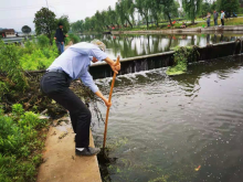 捞水草
