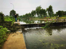 捞水草