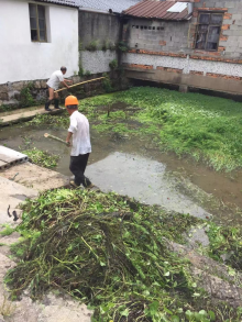 捞水草