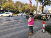礼让斑马线，文明过马路